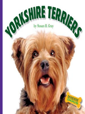 Yorkshire Terriers - ebook
